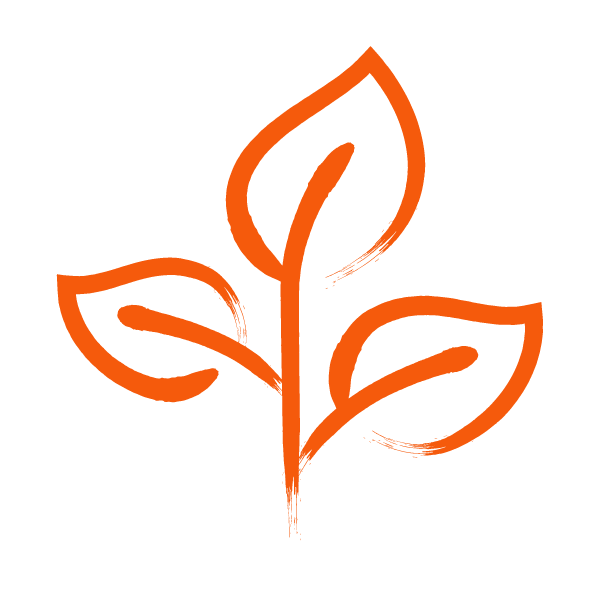 Develop plant icon orange